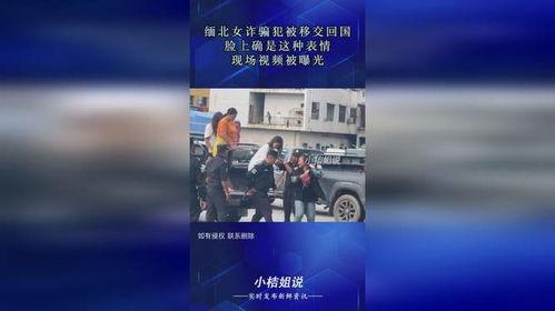 缅北诈骗犯爆料视频大全,视频爆料揭露罪恶全貌 第3张 缅北诈骗犯爆料视频大全,视频爆料揭露罪恶全貌 第3张