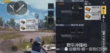 刺激战场测试服最新爆料,全新内容与优化来袭，玩家体验再升级  第1张